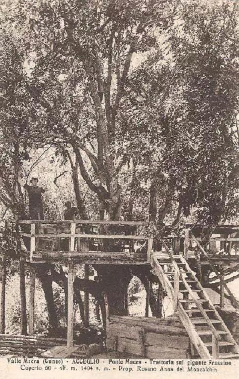 Appartamento La casa del Gigante Frassino Acceglio Esterno foto