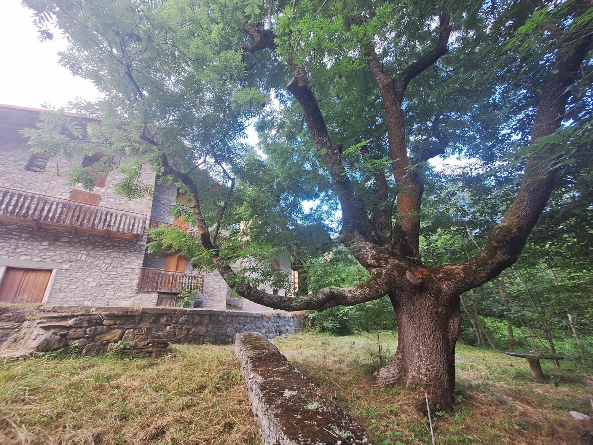 Appartamento La casa del Gigante Frassino Acceglio Esterno foto